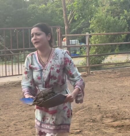 Ankita Lokhande picks cow dung with bare hands, embraces ‘Gau Seva’ Ankita Lokhande picks cow dung with bare hands, embraces ‘Gau Seva’