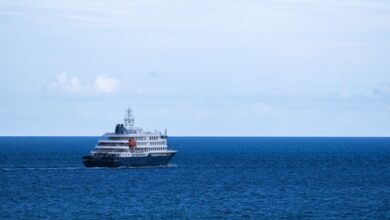 Hantavirus-hit cruise ship arrives in Rotterdam as final stop Hantavirus-hit cruise ship arrives in Rotterdam as final stop