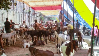 Bakrid: Rapid Response Teams to ensure animal welfare, sanitation in Delhi