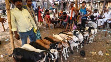 Jamiat Ulama-i-Hind issues guidelines for Bakrid; urges people to follow law, maintain cleanliness