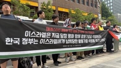 Israeli forces seize humanitarian aid flotilla carrying South Korean activist: Civic group