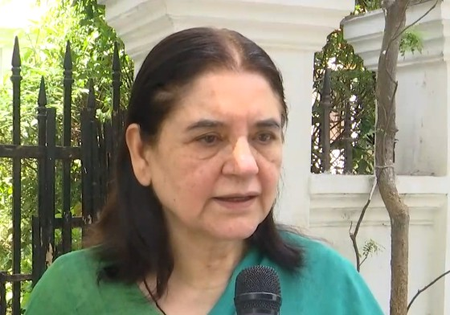 Stray dogs case: Maneka Gandhi flags illegal NGOs, seeks one contract per organisation Stray dogs case: Maneka Gandhi flags illegal NGOs, seeks one contract per organisation