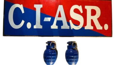 Punjab Police bust BKI module, two arrested with hand grenades