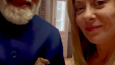 PM Modi gifting Melody toffees to Meloni breaks internet, video crosses past 100 million views PM Modi gifting Melody toffees to Meloni breaks internet, video crosses past 100 million views