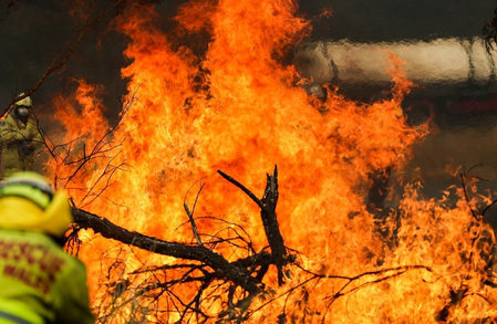 California wildfire puts over 17,000 residents under evacuation order