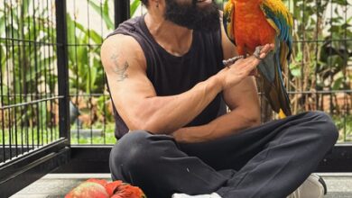 Jr NTR reflects his love for Japan as he introduces his new buddies Asahi & Yuuhi