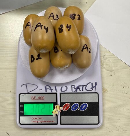 DRI busts gold smuggling syndicate at Mumbai airport, seizes gold worth Rs 4.8 crore DRI busts gold smuggling syndicate at Mumbai airport, seizes gold worth Rs 4.8 crore