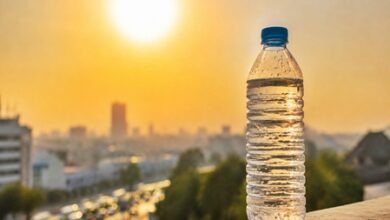 Telangana CM urges caution as heat wave intensifies across districts