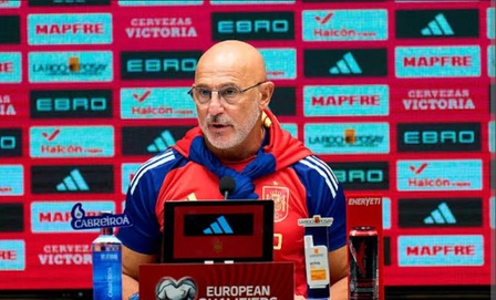 Spain coach De la Fuente: World Cup squad has already been decided Spain coach De la Fuente: World Cup squad has already been decided