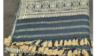 PM Modi gifts ‘Muga,’ ‘Shirui Lily’ silk stoles to Giorgia Meloni, highlights India’s rich textile traditions PM Modi gifts ‘Muga,’ ‘Shirui Lily’ silk stoles to Giorgia Meloni, highlights India’s rich textile traditions