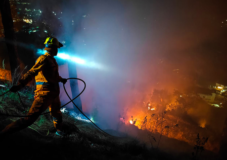 Uttarakhand plans reward scheme of up to Rs 1 lakh to strengthen fight against forest fires Uttarakhand plans reward scheme of up to Rs 1 lakh to strengthen fight against forest fires