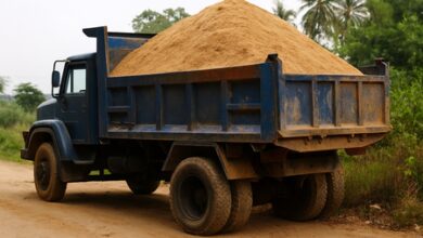 Rajasthan Police intensifies crackdown on sand mafia in Chambal Sanctuary