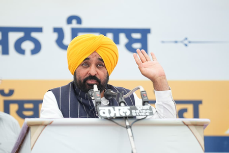 Will ensure public safety, humane care for stray dogs: Punjab CM Mann