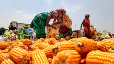 Govt bears burden of elevated global fertiliser prices to safeguard farmers: Goyal