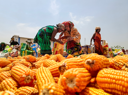 Govt bears burden of elevated global fertiliser prices to safeguard farmers: Goyal Govt bears burden of elevated global fertiliser prices to safeguard farmers: Goyal