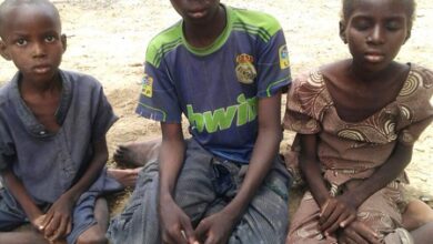Amid conflict, millions in Nigeria face hunger in coming lean season: UN