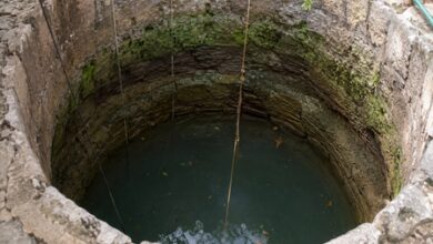 Three girls drown in well while fetching water in MP’s Raisen district Three girls drown in well while fetching water in MP’s Raisen district
