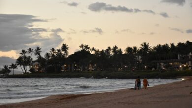 No tsunami threat after 6.0-magnitude earthquake jolts US Hawaii
