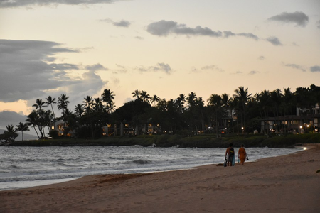 No tsunami threat after 6.0-magnitude earthquake jolts US Hawaii