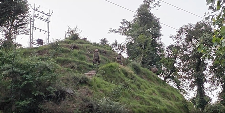 Anti-terrorist operation enters second day in J&K’s Rajouri Anti-terrorist operation enters second day in J&K’s Rajouri