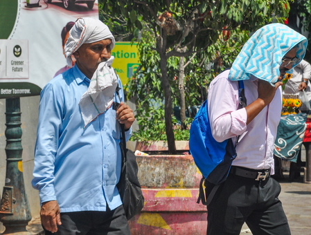 Heatwave claims 16 lives in Telangana; govt announces Rs 4 lakh ex gratia Heatwave claims 16 lives in Telangana; govt announces Rs 4 lakh ex gratia