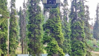 J&K: All stranded tourists rescued safely from Gulmarg gondola J&K: All stranded tourists rescued safely from Gulmarg gondola