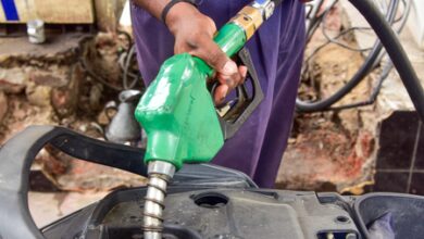 Fuel prices rise again in Rajasthan; petrol in Jaipur costs Rs 112.66 per litre
