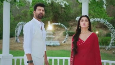 Shabir Ahluwalia on Rakshit proposing to Aparajita in ‘Tum Dena Saath Mera’
