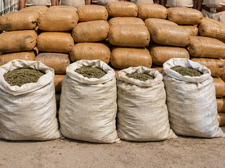 Bihar Police seize over 455 kg ganja in Supaul and Madhubani raids Bihar Police seize over 455 kg ganja in Supaul and Madhubani raids