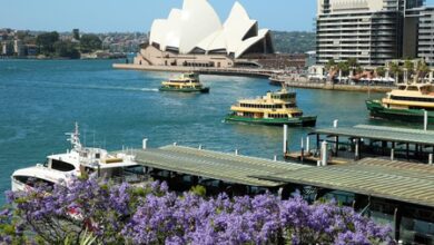 Australia power prices to fall for most households from July: Regulator Australia power prices to fall for most households from July: Regulator