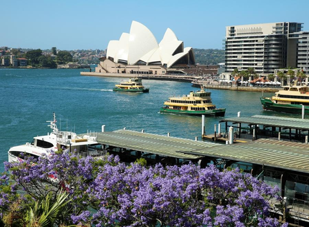 Australia power prices to fall for most households from July: Regulator Australia power prices to fall for most households from July: Regulator