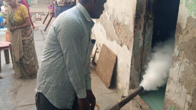Ahmedabad civic body intensifies citywide mosquito control drive, dengue cases down from last year Ahmedabad civic body intensifies citywide mosquito control drive, dengue cases down from last year