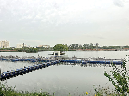 Villivakkam lake park work in Chennai picks up, completion likely by September Villivakkam lake park work in Chennai picks up, completion likely by September