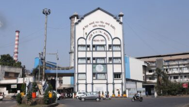 Gujarat: State grants official approval to sugarcane payments Gujarat: State grants official approval to sugarcane payments