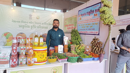 After personal loss, Gujarat farmer builds successful natural banana farm