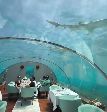 Soha Ali Khan enjoys thrilling underwater lunch with Kunal Kemmu & little Inaaya Soha Ali Khan enjoys thrilling underwater lunch with Kunal Kemmu & little Inaaya