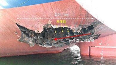 Seoul to disclose probe results on attack against South Korean vessel in Hormuz