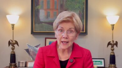 Corruption tour disguised as diplomacy: Senator Warren on Trump’s China visit Corruption tour disguised as diplomacy: Senator Warren on Trump’s China visit