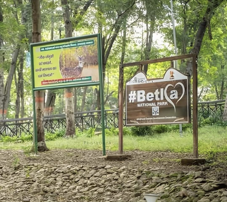 NGT issues notice over construction in Palamu Tiger Reserve, Netarhat eco-sensitive zone NGT issues notice over construction in Palamu Tiger Reserve, Netarhat eco-sensitive zone