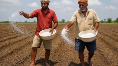 Deepak Fertilisers clocks 50 pc drop in Q4 profit Deepak Fertilisers clocks 50 pc drop in Q4 profit