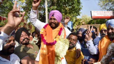 Punjab: AAP win in 102 civic bodies