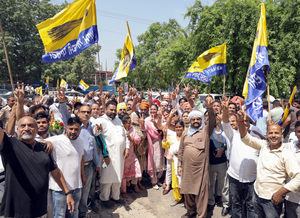 AAP making substantial lead in Punjab civic polls as per early vote count trends