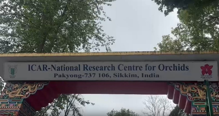 Sikkim orchids in global spotlight after PM Modi gifted them to Norwegian counterpart