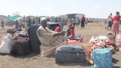 UN Security Council renews sanctions against South Sudan UN Security Council renews sanctions against South Sudan