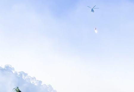 Kasauli forest fire brought under control after massive joint operation by IAF, army Kasauli forest fire brought under control after massive joint operation by IAF, army