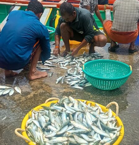 Bay of Bengal nations adopt AI for fisheries management