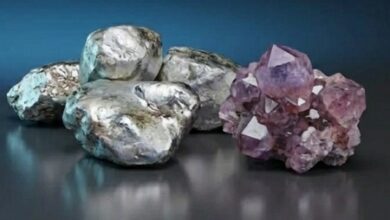 Chinese firms control nearly 90 pc of Zimbabwe’s lithium reserves: Report