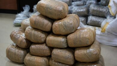 Two arrested after DRI recovers over 100 kg ganja in Bihar