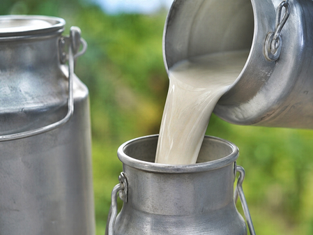 Gujarat adds 12.5 million tonnes to milk output in two decades