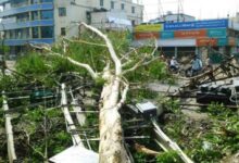 Sudden weather shift brings relief from heat, storm havoc leaves 13 dead in Bihar